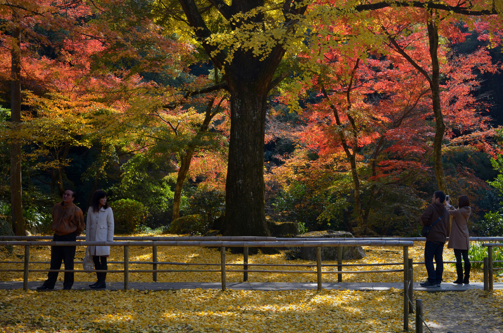 古寺の彩り　14