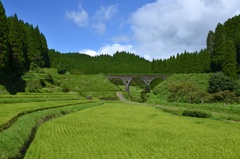 国鉄宮原線跡コンクリトアーチ橋