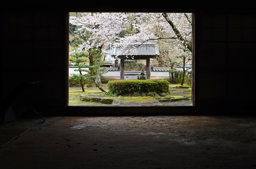 城下町竹田の花めぐり　5