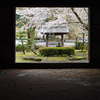 城下町竹田の花めぐり　5