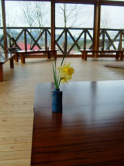 テーブルの花。（１）