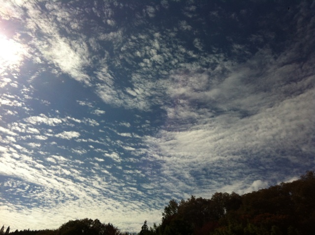 うねる空