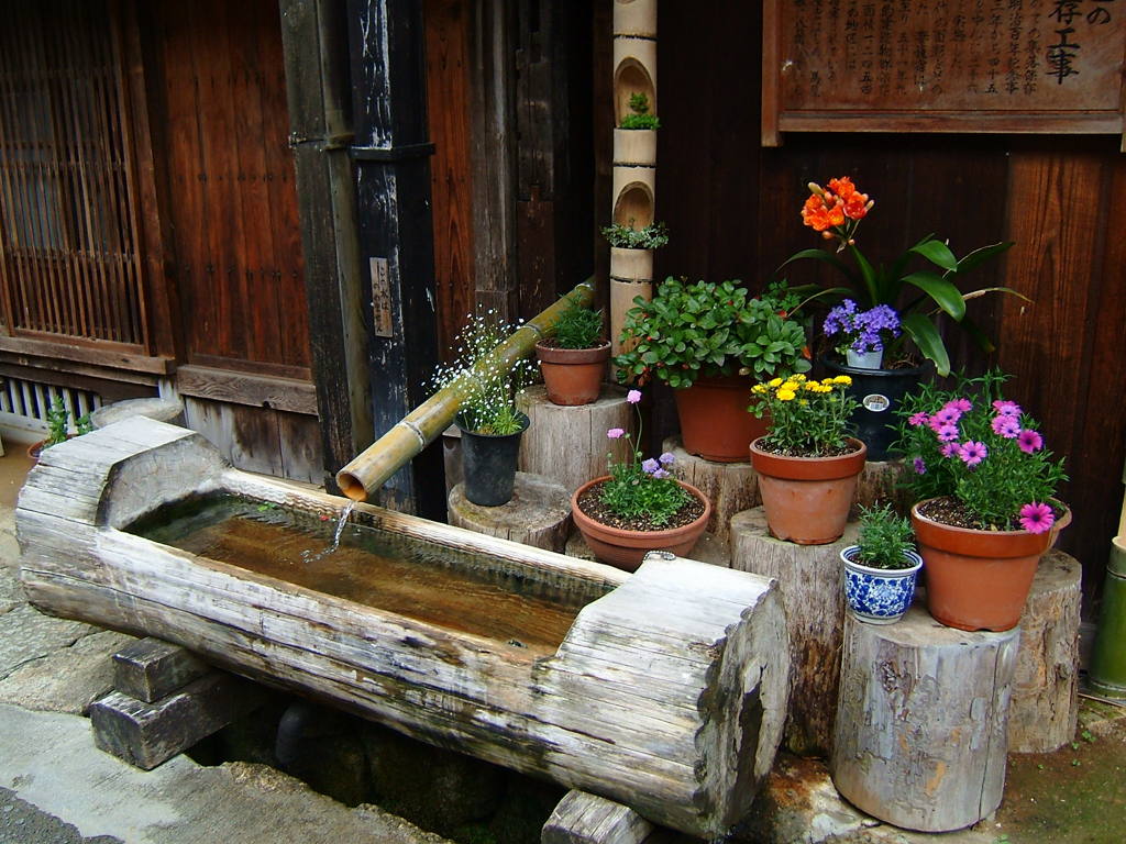 軒先の花。
