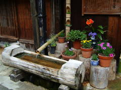 軒先の花。