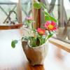 テーブルの花。（２）