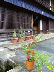 軒先の花。