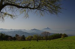 高原の春
