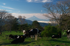 早春の朝