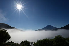 夏の朝