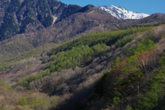 早春の八ヶ岳