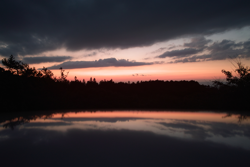 SDIM4151