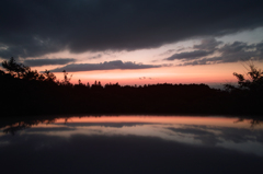 SDIM4151