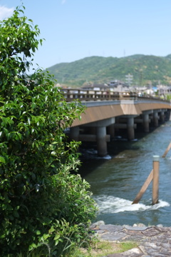 宇治橋