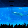 DSCF1111