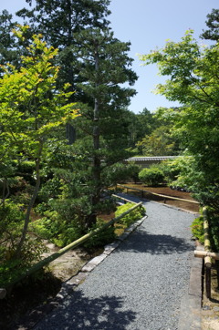 圓通寺