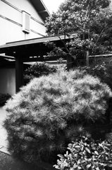 川越散歩