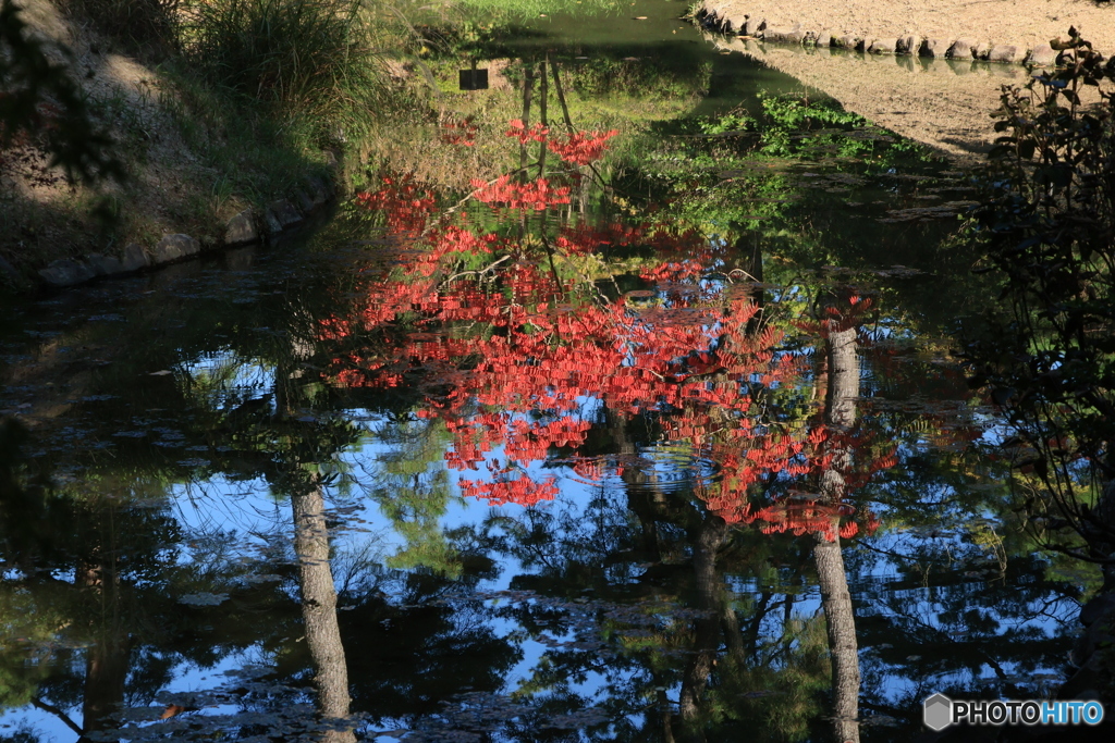 2025四国一人旅12