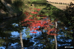 2025四国一人旅12