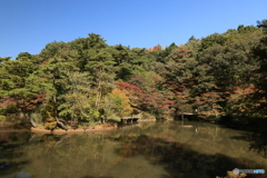 森からの便り20