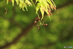 風なくてよかった