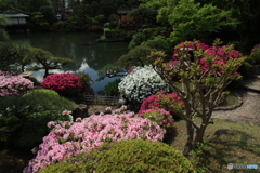相楽園7