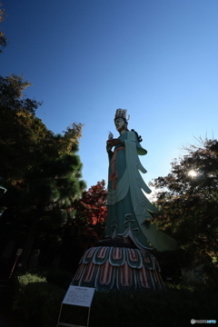 2025四国一人旅5-6