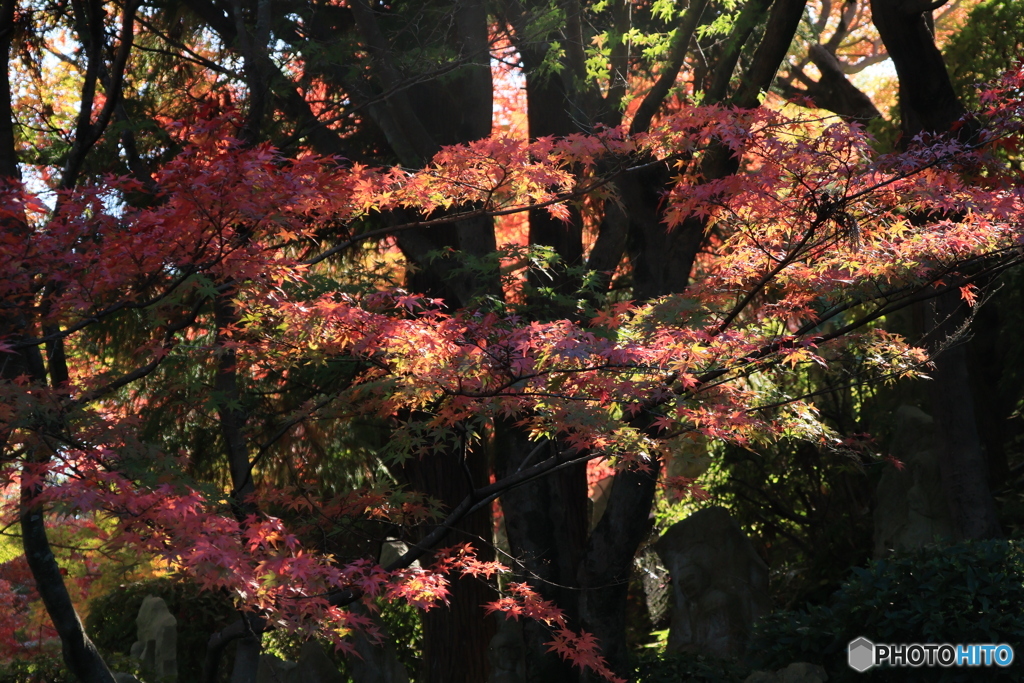 2025四国一人旅5-19