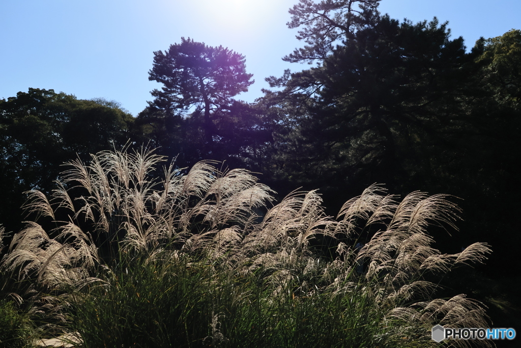 2025四国一人旅10