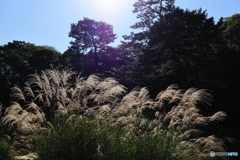 2025四国一人旅10