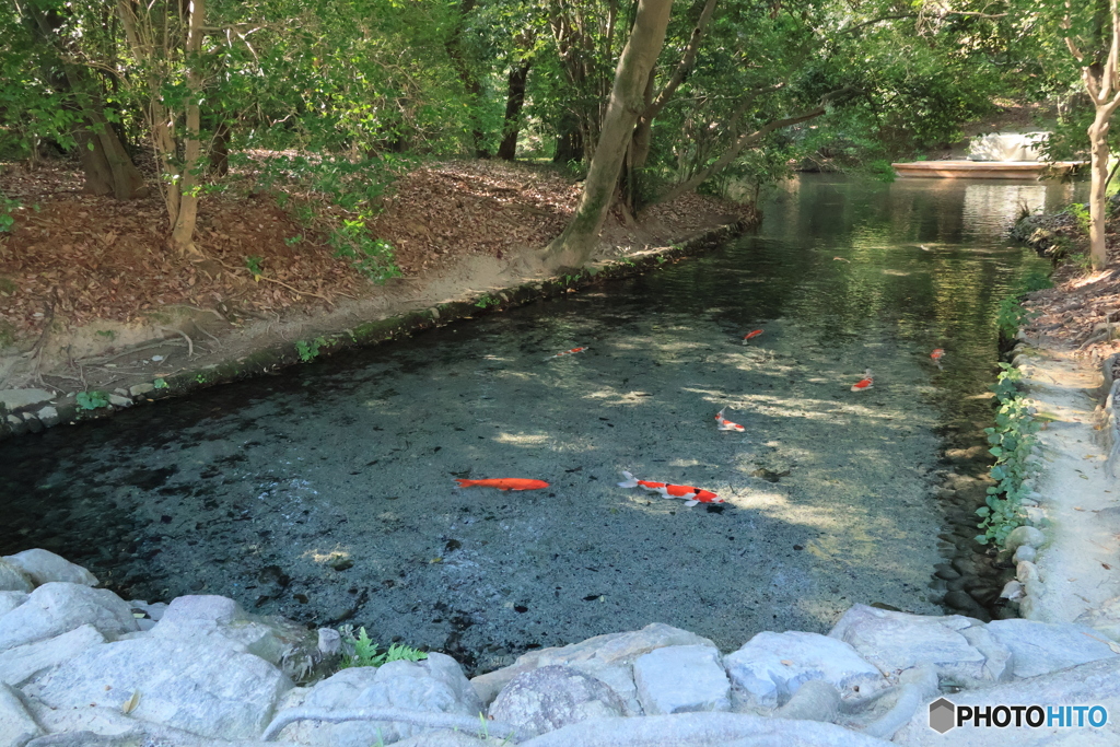 2025四国一人旅14