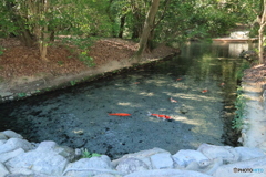 2025四国一人旅14