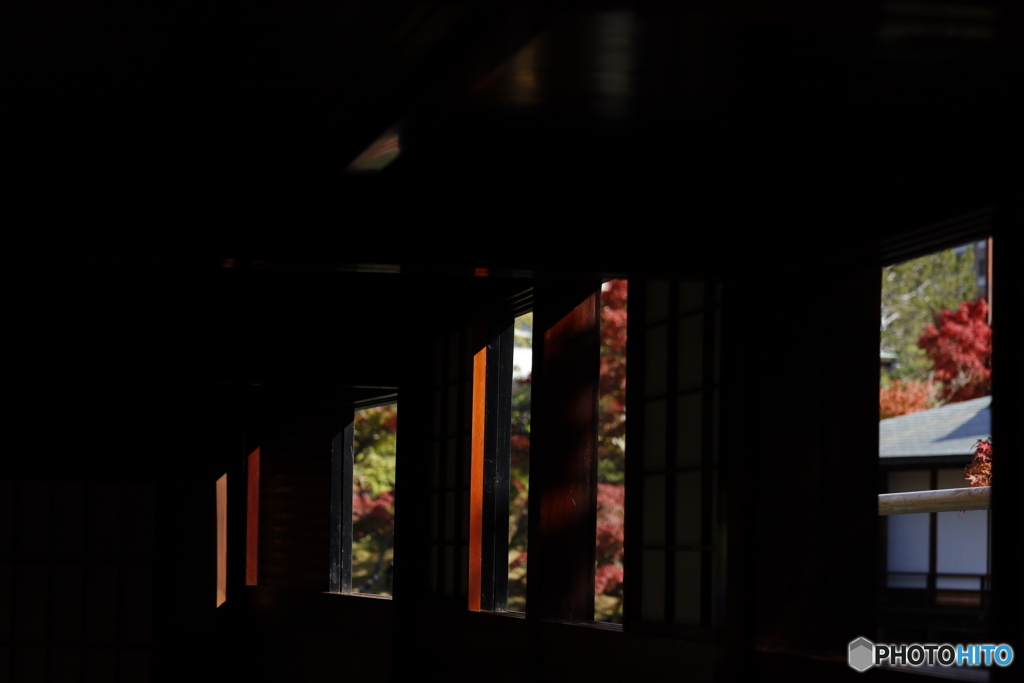 晩秋の相楽園16