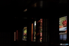 晩秋の相楽園16