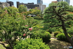 池泉回遊式日本庭園