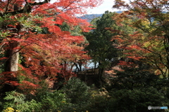 2025四国一人旅4-24