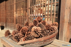 2025四国一人旅6-8