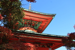 2025四国一人旅5-13