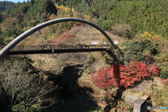 2025四国一人旅2-10