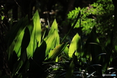 2025四国一人旅4-6