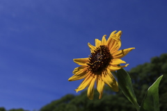まだまだ終わらない、、