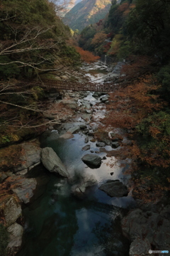 2025四国一人旅2-1