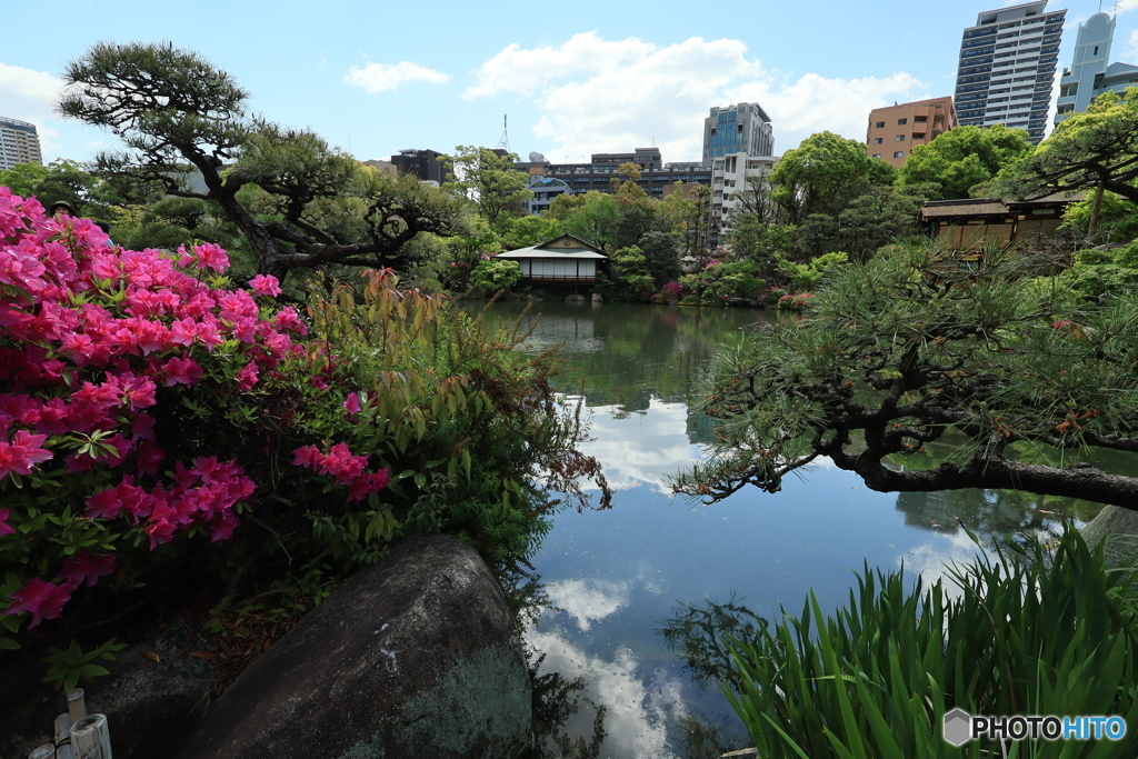 相楽園5