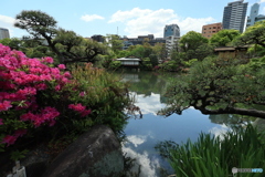 相楽園5