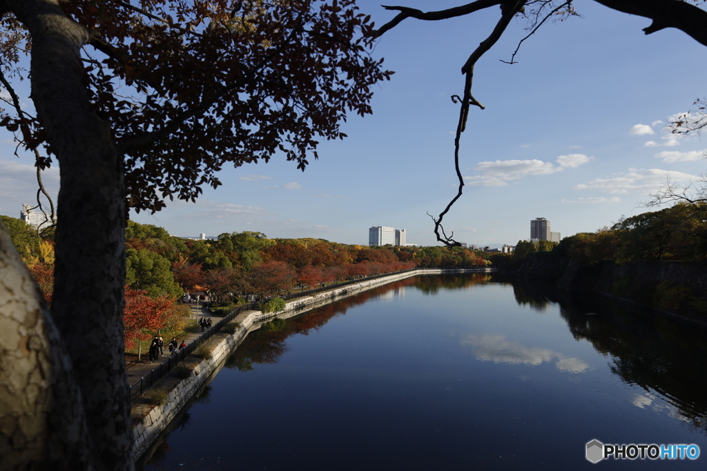大阪城公園2