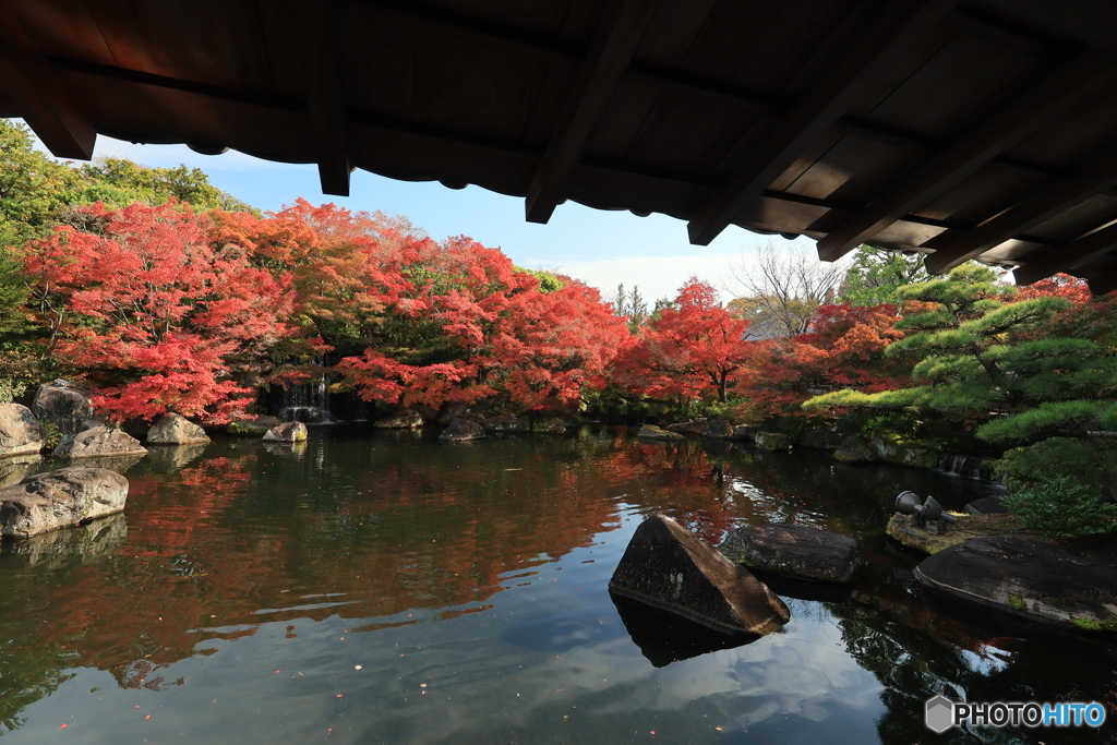 晩秋の好古園10