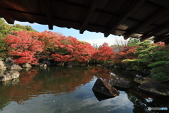 晩秋の好古園10