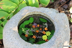 花手水（はなちょうず）