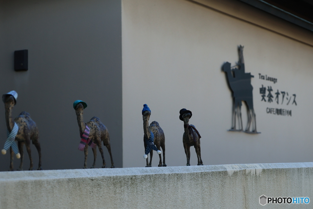 2025四国一人旅5-23