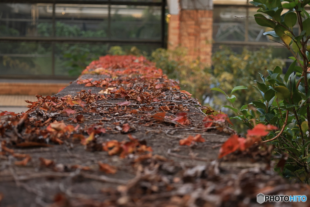 夕刻の離宮公園2