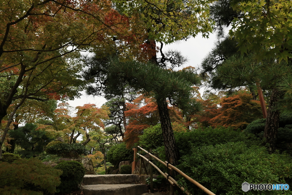 相楽園の秋8